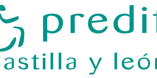 La Plataforma Representativa Estatal de Personas con Discapacidad Física (Predif).