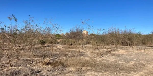 Ejemplo de abandono de tierras agrícolas