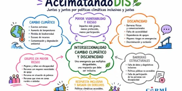 Infografía del proyecto 'AclimatandoDIS' 