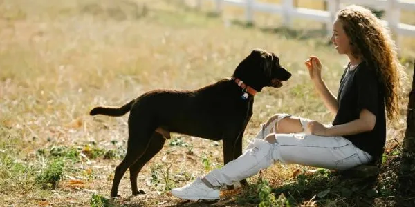 Una joven juega con un perro adoptado
