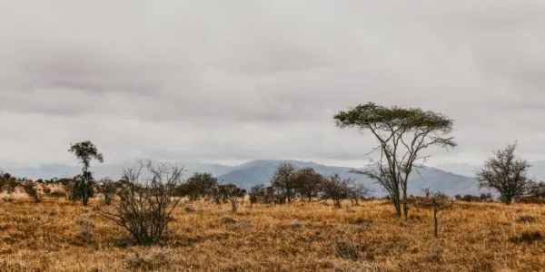 África