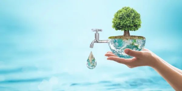 La gestión del agua y acciones colaborativas