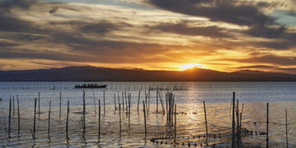 Albufera tienda a ser reserva de la biosfera