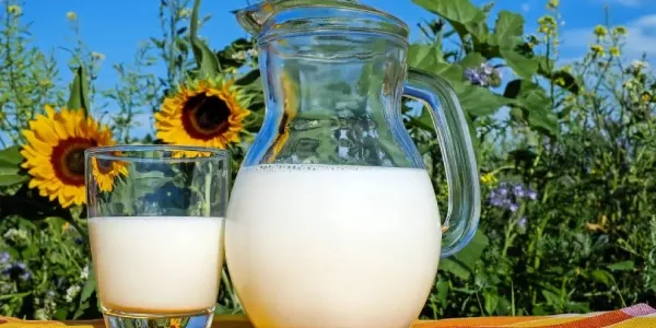 Leche