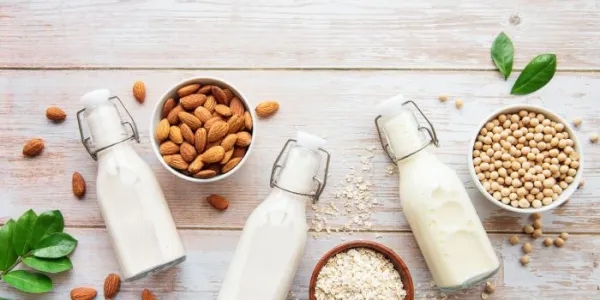 Leche vegetal