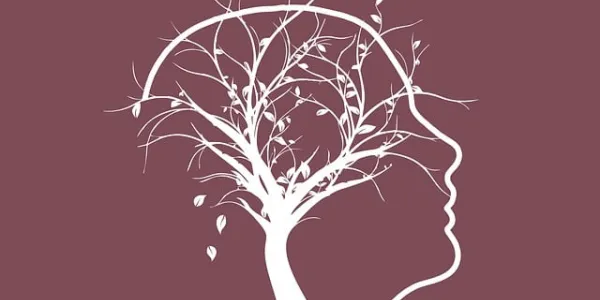 Un estudio asegura la relación entre el alzhéimer y la longevidad ovárica