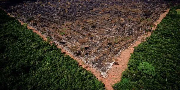 Deforestación y desgaste en la Amazonía