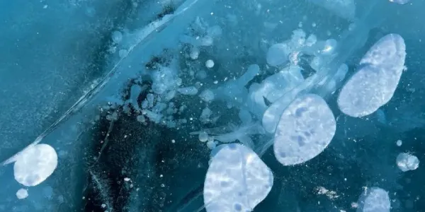 Permafrost