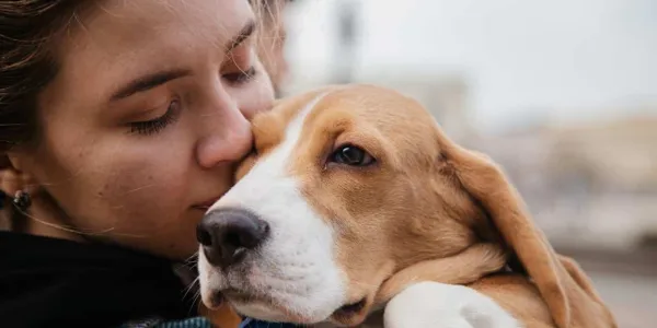 La relación con los animales ayudan al estado de ánimo
