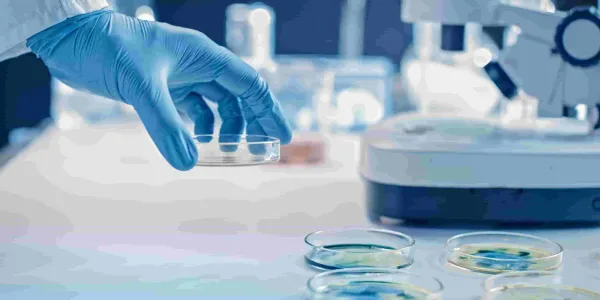 Descubrimiento del gen para las superbacterias