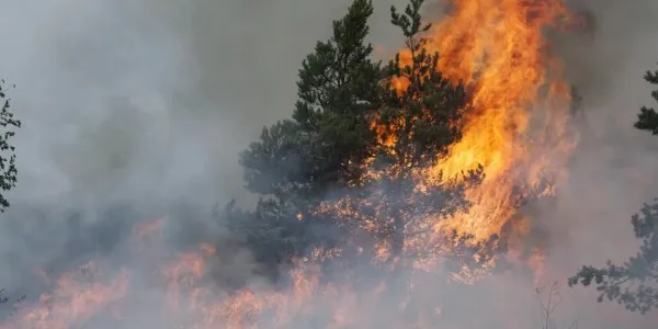 Incendios forestal.
