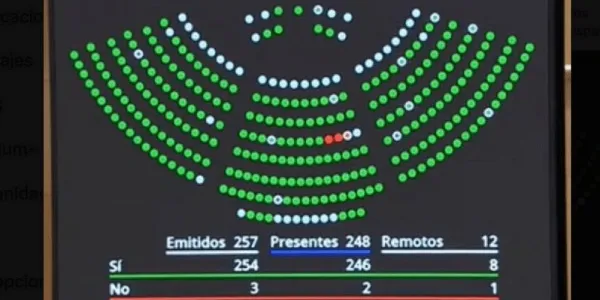Votación de la reforma del artículo 49 de la Constitución