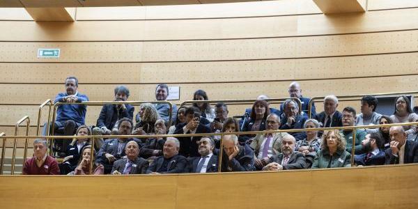 Representantes del movimiento asociativo de la discapacidad en la tribuna del Senado el día que se votaba la reforma constitucional 