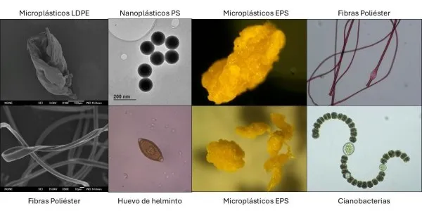 Diferentes fotografías de microcontaminantes que escapan a la depuración clásica