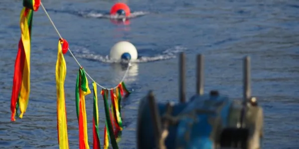 Prototipo de línea espantapájaros para proteger a las aves marinas