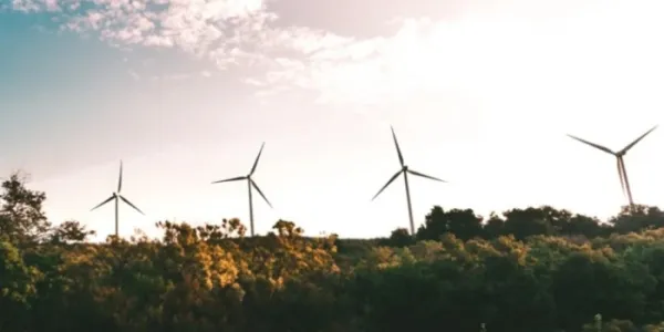 Molinos de viento