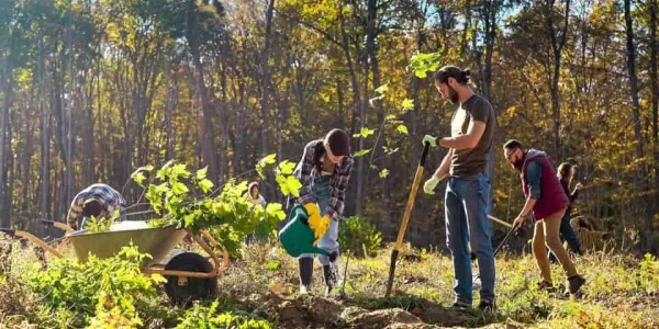Gestión de los bosques y territorios