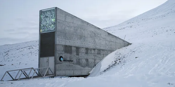 La Bóveda de Svalbard, refugio de semillas