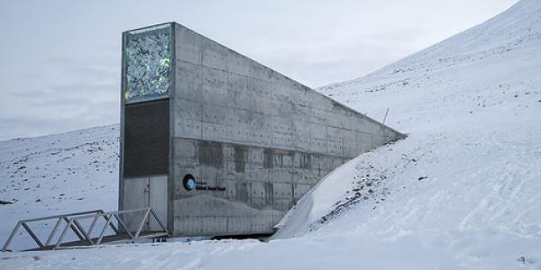 La Bóveda de Svalbard, refugio de semillas