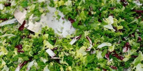 Los brotes de esta enfermedad suelen producirse por el consumo de frutas y verduras frescas contaminadas.