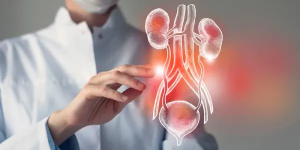 Infografía sobre cáncer genitourinario