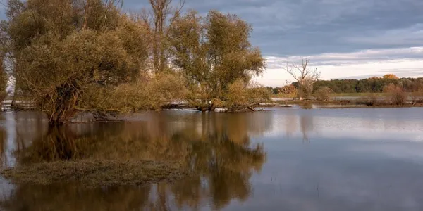 Imagen de Río, Reflexión y Árboles. De uso gratuito.