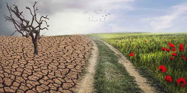 Cambio climático y bacterias