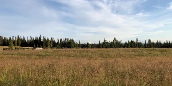 Tierra con zona para cultivo y bosque en Noruega 