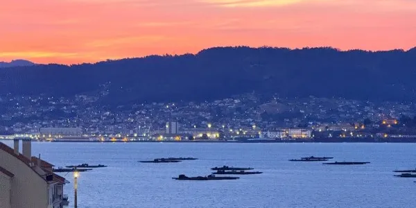 Las rías gallegas con las bateas donde se crían los mejillones