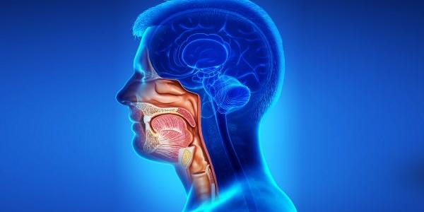 Infografía sobre el cáncer de cabeza y cuello