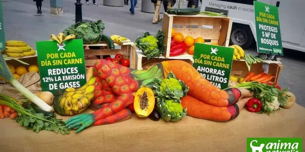 Qué se busca en el Día Mundial Sin Carne