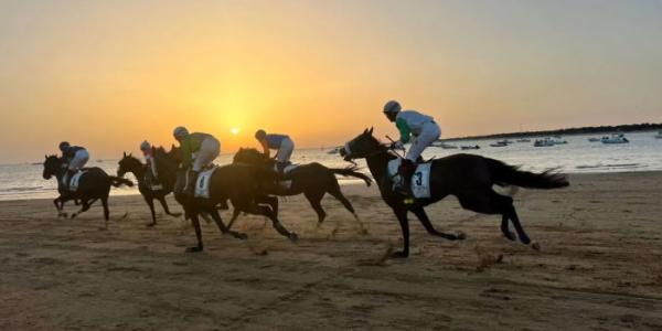 Varios caballos compitiendo en las carreras de la playa de Sanlúcar de Barrameda