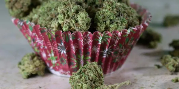Cannabis CBD