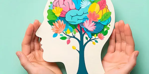 Cerebro y hábitos saludables