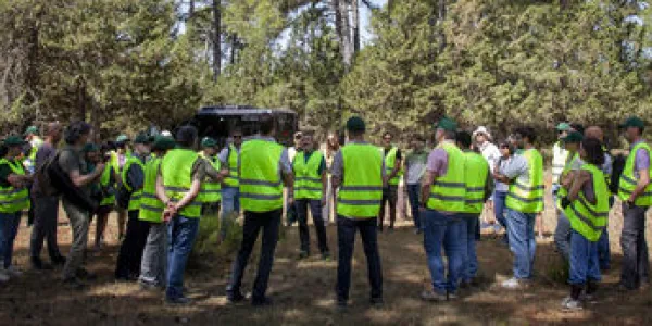 Certificación FSC en los bosques