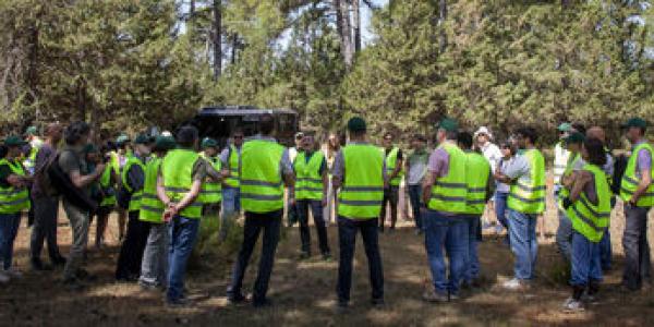 Certificación FSC en los bosques