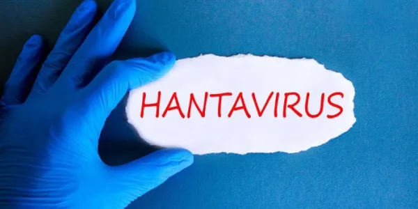 hantavirus asintomático