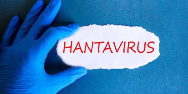 hantavirus asintomático