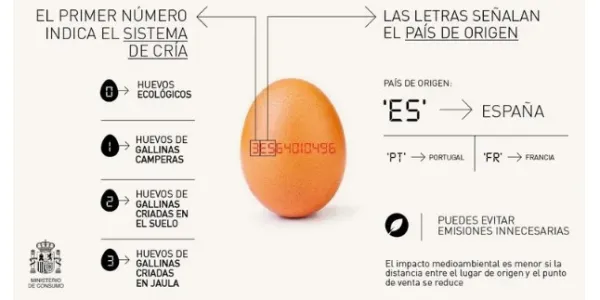 Los códigos de los huevos de gallina