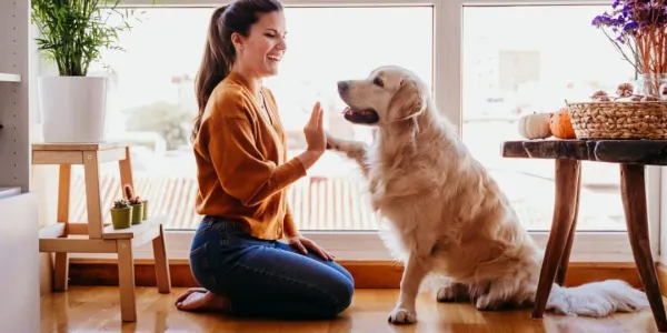 Aprende a afrontar la pérdida de tu mascota