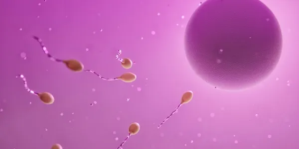 Infografía de espermatozoides acercándose a un óvulo