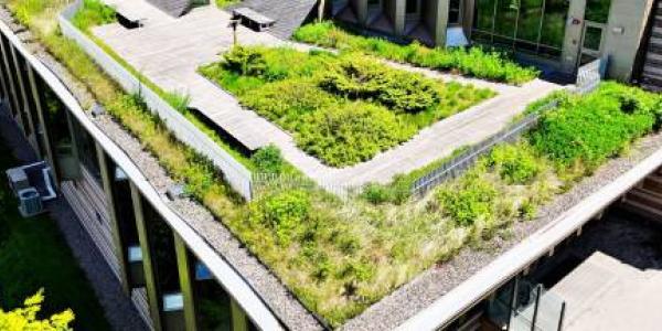 Jardín sostenible en la azotea de un edificio