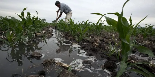 El plomo, su contaminación y las consecuencias