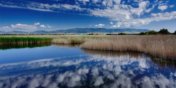 Convenio Ramsar 