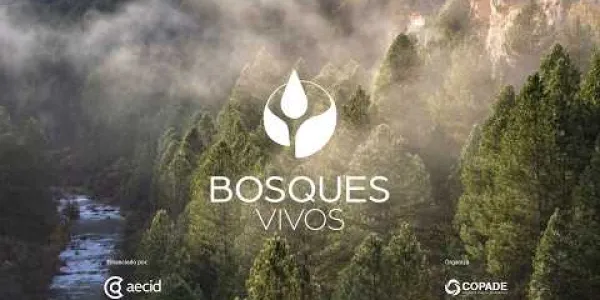 Imagen de una campaña de COPADE donde se puede leer 'Bosques Vivos' y de fondo se ve un bosque lleno de árboles