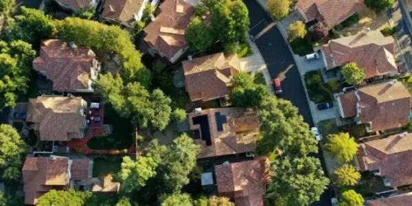 combustibles renovables