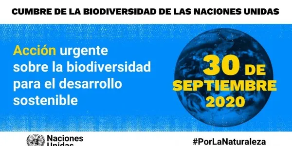 Hoy se celebra la Cumbre de la Biodiversidad de la ONU