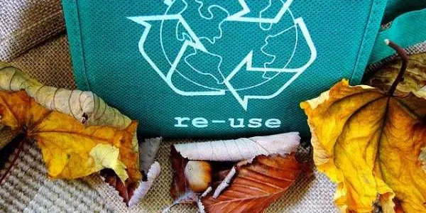 Los cursos de reciclaje online se disparan
