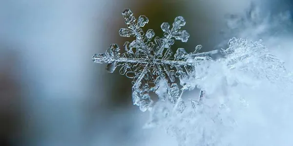Copo de nieve
