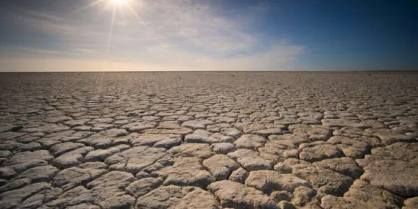 La degradación del suelo acarrea costes elevados